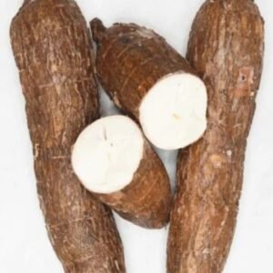 Cassava