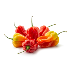 Red Pepper
