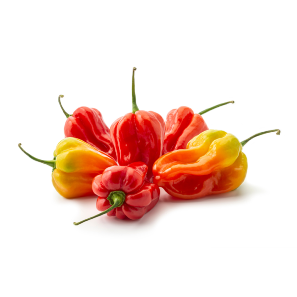 Red Pepper