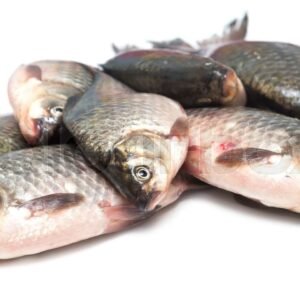 Fresh Nile Tilapia (Whole)