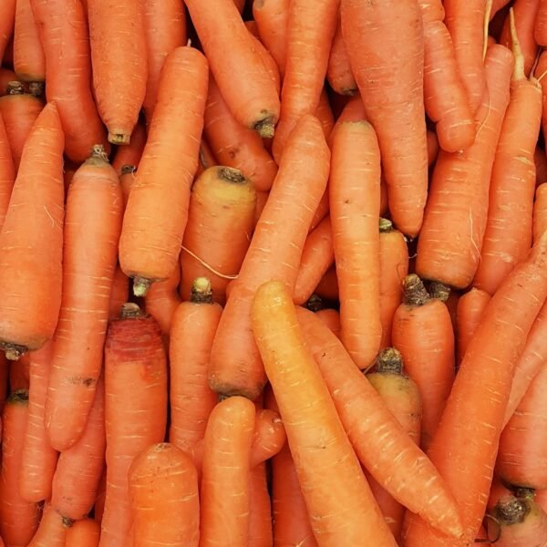 Carrots