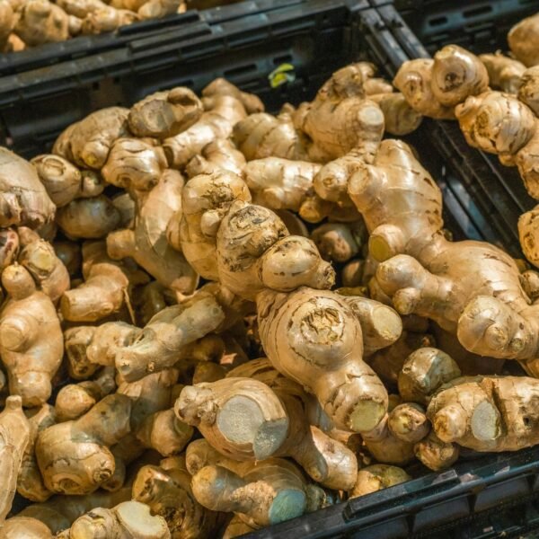 Ginger